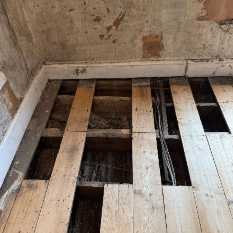 Damaged and Missing Floorboards