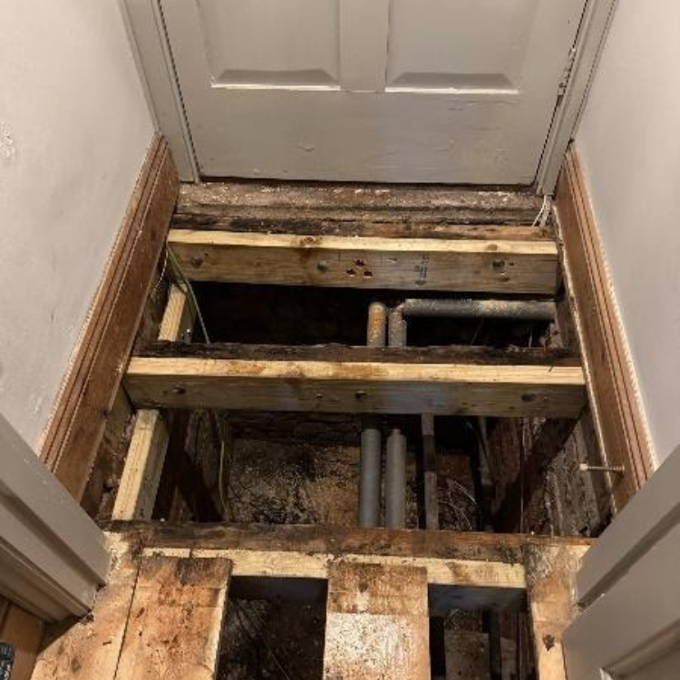 Essential Repairs and Floor Strengthening